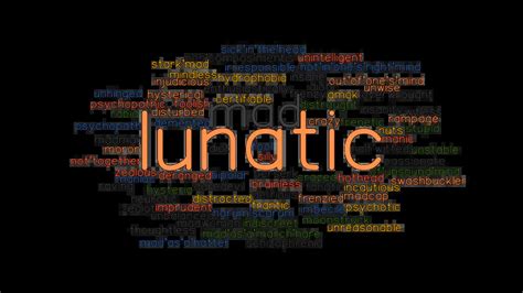 lunatic synonym|another word for minimizing.